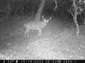 Property photo 51