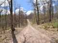 Property photo 59