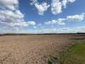 Property photo 50