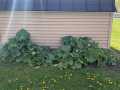 Property photo 58