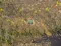Property photo 44