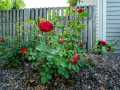 Property photo 42