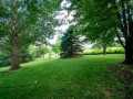 Property photo 43