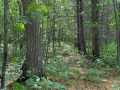 Property photo 59