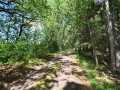 Property photo 58