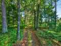 Property photo 46
