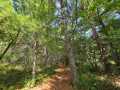 Property photo 56