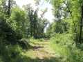 Property photo 44
