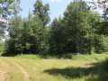 Property photo 50