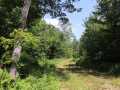 Property photo 51