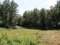 Property photo 52