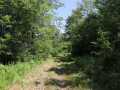 Property photo 54