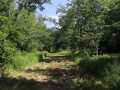 Property photo 55