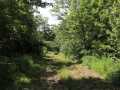 Property photo 56