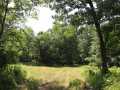 Property photo 58
