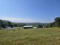 Property photo 47