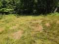 Property photo 51
