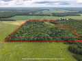 Property photo 41
