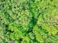 Property photo 59