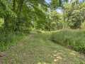 Property photo 46