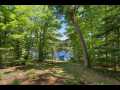 Property photo 55
