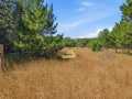 Property photo 35