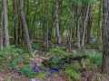 Property photo 58