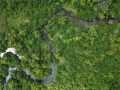 Property photo 50