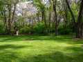 Property photo 44