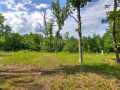 Property photo 55