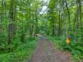 Property photo 59