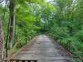 Property photo 60