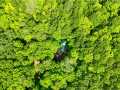 Property photo 50