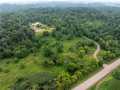 Property photo 49