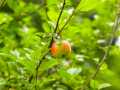 Property photo 28