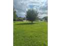 Property photo 54