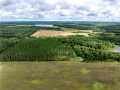 Property photo 44