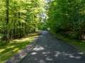Property photo 58