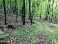 Property photo 44