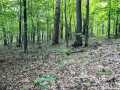 Property photo 49