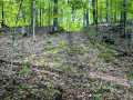 Property photo 50