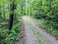 Property photo 52