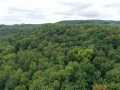 Property photo 50