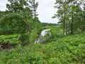 Property photo 53