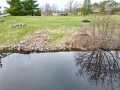 Property photo 53