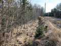 Property photo 52
