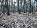 Property photo 56