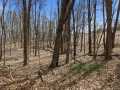 Property photo 44