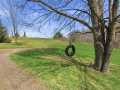Property photo 58