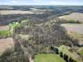 Property photo 54